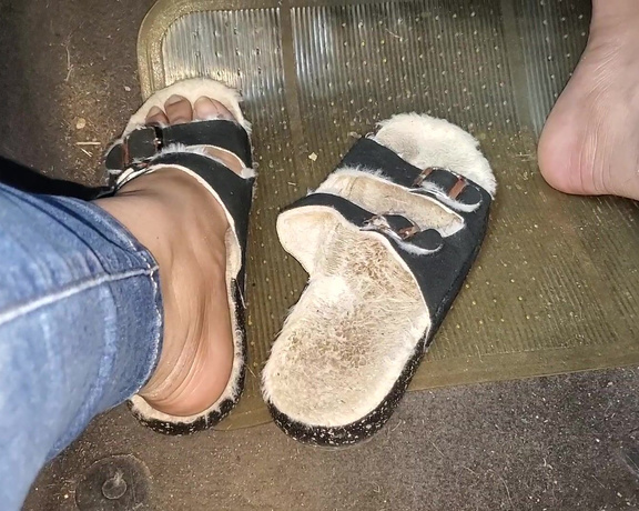 Tori Valentine aka missfeetstinkvip Foot Fetish - 08-11-2024 OnlyFans Video - Why in hell would I chose to wear a pair of dirty, matted_down furry sandals in