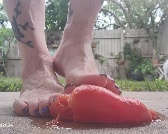 Twisted Toes aka twistedtoes Foot Fetish - 07-22-2024 OnlyFans Video - I love crushing things under my powerful feet