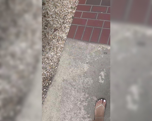 Goddess monica aka goddessmonica00w Foot Fetish - 05-01-2024 OnlyFans Video - white toes and flip flops