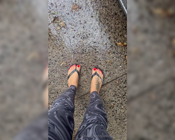 Goddess monica aka goddessmonica00w Foot Fetish - 10-07-2024 OnlyFans Video - one of my sponsors like these flip flops im about to do a long walk about