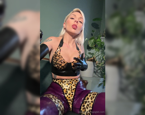 Katerina Piglet aka katerinapiglet Femdom - 01-19-2024 OnlyFans Video - Youre a mouse and Im a cat Youre already trapped in my clutches, dont even twitch