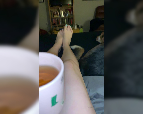 Kinkerbell aka itskinkerbell_feet Foot Fetish - 03-18-2020 OnlyFans Video - I literally had the coziest night ever last night