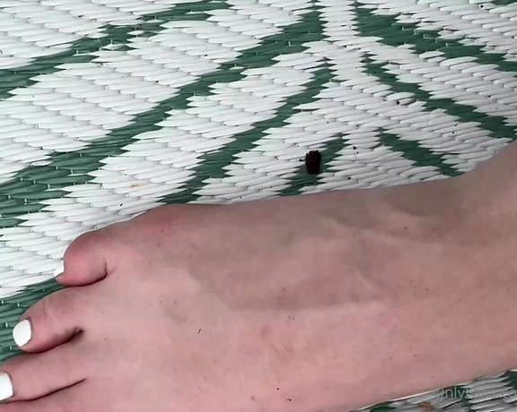 Kinkerbell aka itskinkerbell_feet Foot Fetish - 07-13-2022 OnlyFans Video - Love what the summer does to my feet