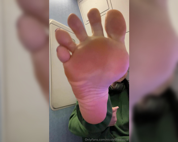 Nicole the Divine aka nicolethedivine Foot Fetish - 03-31-2024 OnlyFans Video - Airplane bathroom fun