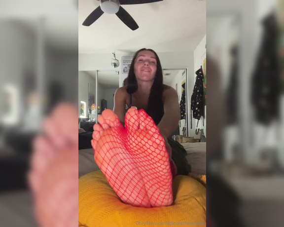 Nicole the Divine aka nicolethedivine Foot Fetish - 08-09-2024 OnlyFans Video - Who wants to rip me out my sexy socks next