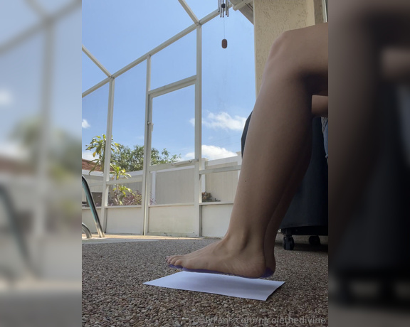 Nicole the Divine aka nicolethedivine Foot Fetish - 09-19-2024 OnlyFans Video - Had the great idea to try out a fun little foot craft, only made 3 of