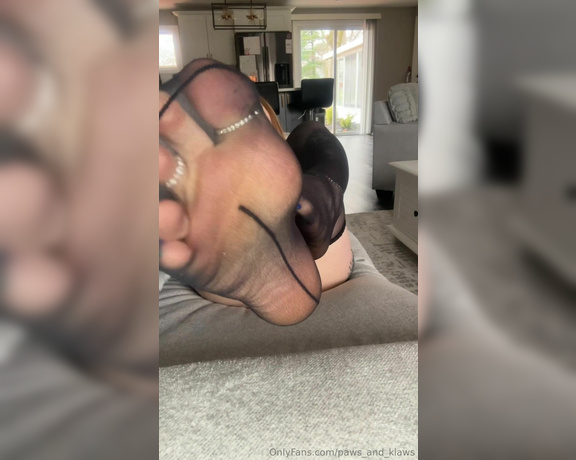 PAWS and KLAWS aka paws_and_klaws Foot Fetish - 03-17-2024 OnlyFans Video - Which view do you enjoy better of me in these black nylons Front or back