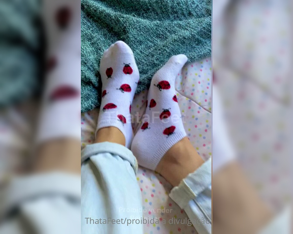 ThatAFeet aka . thatafeet Foot Fetish - 05-05-2021 OnlyFans Video - Meinhas de