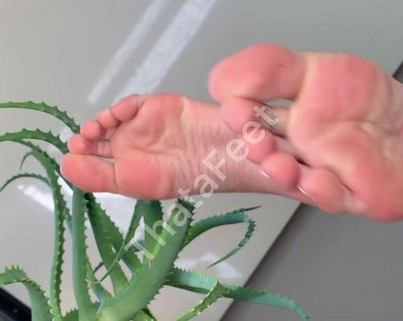 ThatAFeet aka . thatafeet Foot Fetish - 12-07-2022 OnlyFans Video - Eita