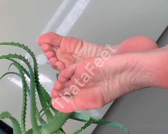 ThatAFeet aka . thatafeet Foot Fetish - 12-07-2022 OnlyFans Video - Eita