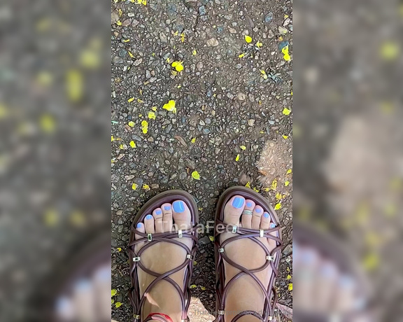 ThatAFeet aka . thatafeet Foot Fetish - 01-15-2024 OnlyFans Video - Uma cor diferente que costumo pintar