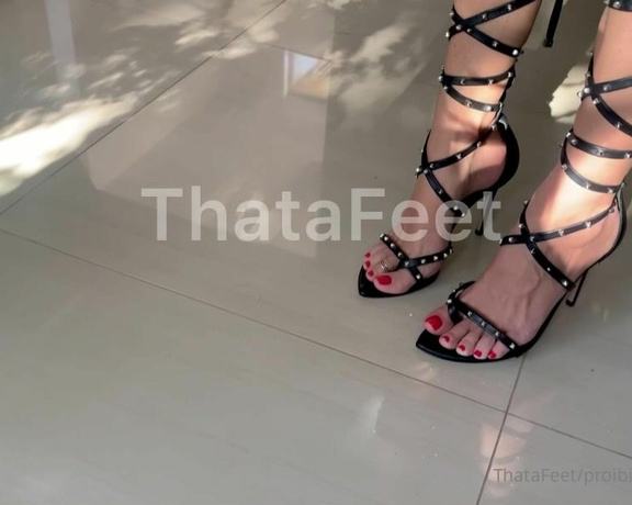 ThatAFeet aka . thatafeet Foot Fetish - 02-19-2024 OnlyFans Video - Boa noite