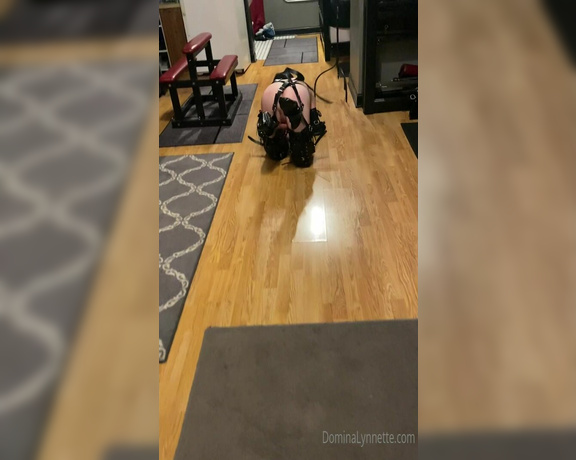 Domina Lynnette aka dominachicago Femdom - 02-10-2022 OnlyFans Video - crawl for me puppy