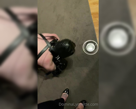 Domina Lynnette aka dominachicago Femdom - 07-01-2022 OnlyFans Video - Taking my pup for a walk