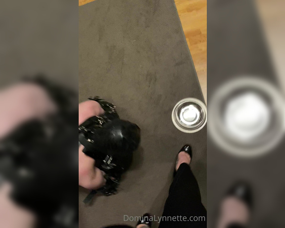 Domina Lynnette aka dominachicago Femdom - 07-01-2022 OnlyFans Video - Taking my pup for a walk