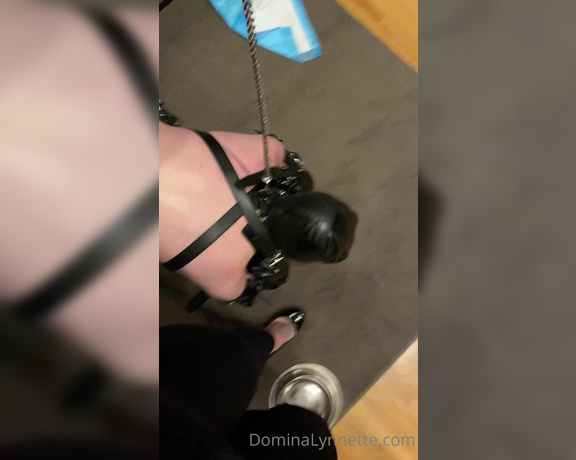 Domina Lynnette aka dominachicago Femdom - 07-01-2022 OnlyFans Video - Taking my pup for a walk