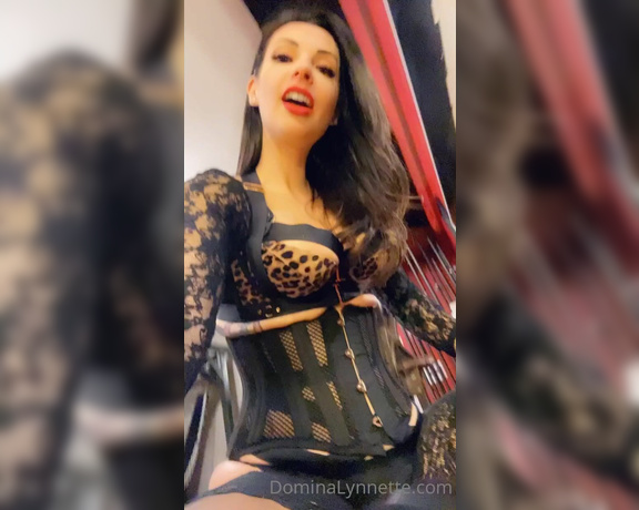 Domina Lynnette aka dominachicago Femdom - 06-02-2023 OnlyFans Video - BEG to lick them bitch