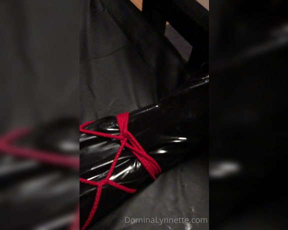 Domina Lynnette aka dominachicago Femdom - 09-06-2020 OnlyFans Video - just a toy