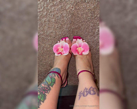 Pinky Perfect aka pinkyyperfect Foot Fetish - 09-02-2024 OnlyFans Video - Bought these babies for my upcoming trip In love