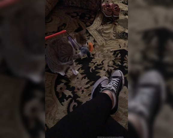 PreciousDigits aka preciousdigits Foot Fetish - 11-02-2019 OnlyFans Video - Crazy little kitty