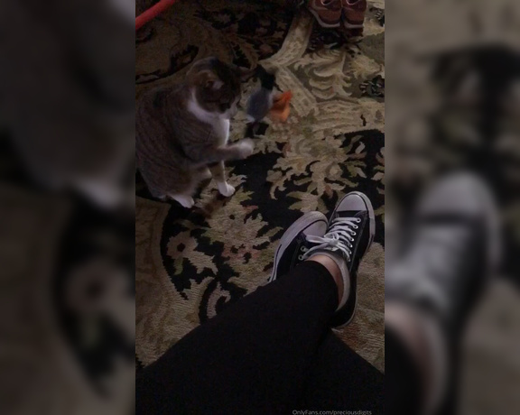 PreciousDigits aka preciousdigits Foot Fetish - 11-02-2019 OnlyFans Video - Crazy little kitty