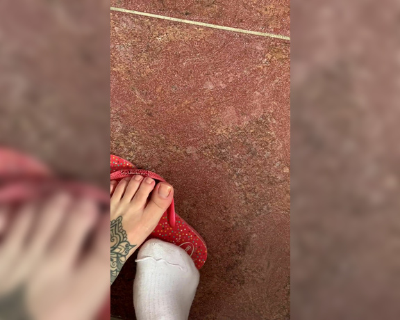 Pé da Alê aka pedaale Foot Fetish - 12-12-2020 OnlyFans Video - VÍDEO BÔNUS pós academia, solinha limpinha e cheirosa dentro da meia