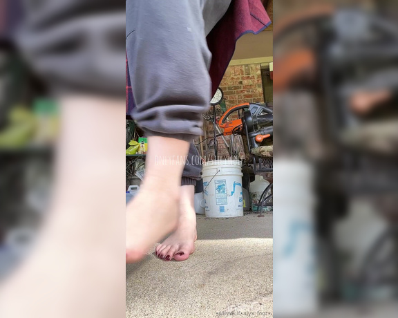 Alyx Wulf aka sillywulf Foot Fetish - 02-07-2024 OnlyFans Video - customs open