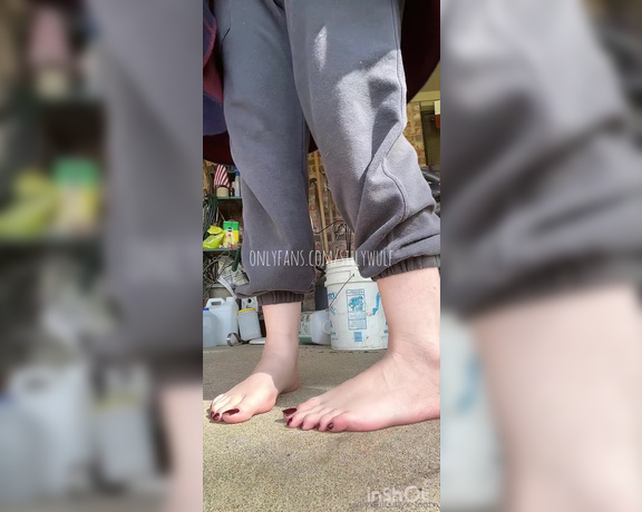 Alyx Wulf aka sillywulf Foot Fetish - 02-07-2024 OnlyFans Video - customs open