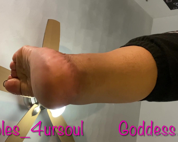 Goddess Сee aka soles_4ursoul Foot Fetish - 02-01-2021 OnlyFans Video - Good Morning