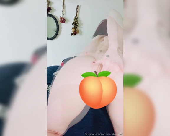 Lavenderthief aka lavenderthief Findom - 10-08-2024 OnlyFans Video - just uploaded a 20 min anal compilation showing off some of the first times i filmed