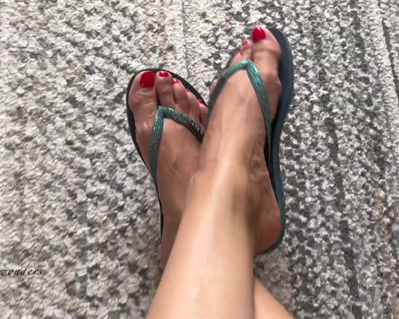 Feetwonders aka Feetwonders OnlyFans - Fun fact when the weather is very warm, my feet get really veiny Are you into veins