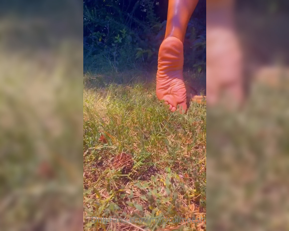 Magical Mesha aka magicalmeesh Foot Fetish - 07-27-2022 OnlyFans Video - The views from Mr