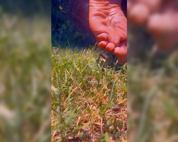 Magical Mesha aka magicalmeesh Foot Fetish - 07-27-2022 OnlyFans Video - The views from Mr