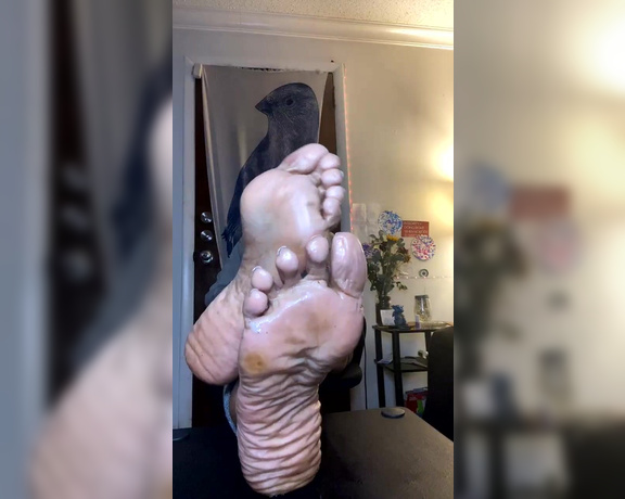 Magical Mesha aka magicalmeesh Foot Fetish - 12-07-2023 OnlyFans Video - Stream started at 12072023 0214 am