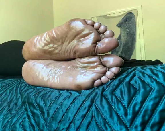 Magical Mesha aka magicalmeesh Foot Fetish - 05-22-2024 OnlyFans Video - Stream started at 05222024 0803 pm Rest ya Soles