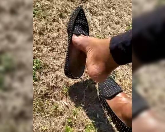 Magical Mesha aka magicalmeesh Foot Fetish - 02-21-2024 OnlyFans Video - Stream started at 02212024 0546 pm Lets go outside for a flat dangle