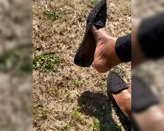 Magical Mesha aka magicalmeesh Foot Fetish - 02-21-2024 OnlyFans Video - Stream started at 02212024 0546 pm Lets go outside for a flat dangle