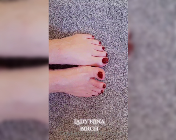 Lady Nina Birch aka ladyninabirch Findom - 01-19-2023 OnlyFans Video - Pretty, deepest red pedicure  pretty wriggling toes to kiss