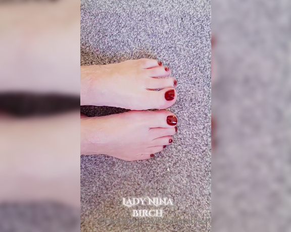 Lady Nina Birch aka ladyninabirch Findom - 01-19-2023 OnlyFans Video - Pretty, deepest red pedicure  pretty wriggling toes to kiss