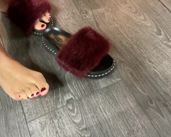 Mistress Eclipse aka mistresseeclips Femdom - 06-02-2021 OnlyFans Video - Fluffy shoes, dirty feet