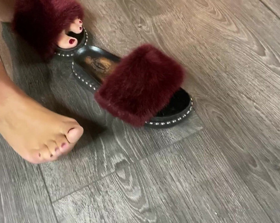 Mistress Eclipse aka mistresseeclips Femdom - 06-02-2021 OnlyFans Video - Fluffy shoes, dirty feet