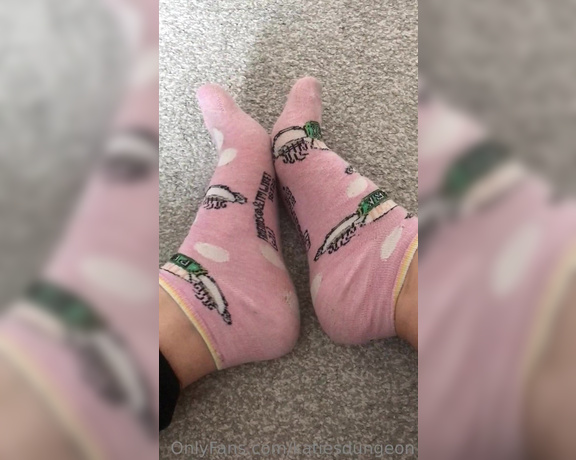 NurseKatiesFeet aka katiesdungeon Foot Fetish - 05-13-2023 OnlyFans Video - Gym socks being taken off  My usual buyer for these has gone MIA