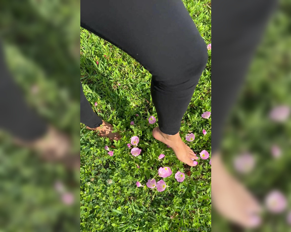 EtherealToes aka etherealtoes Foot Fetish - 04-22-2024 OnlyFans Video - Matching my flowers dont wait until Im gone, give them to me while Im here