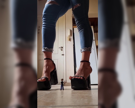 Zoey Riley‍ aka zoeyrileyvip Foot Fetish - 10-26-2024 OnlyFans Video - I think Ill take this tiny guy to dance with me