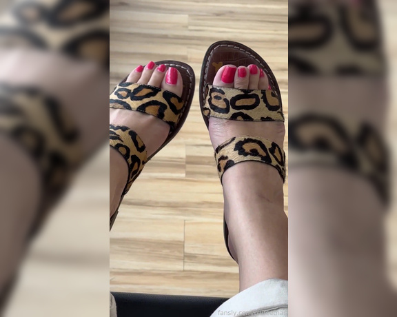 Pilifeetnas Feet Fansly Video 75