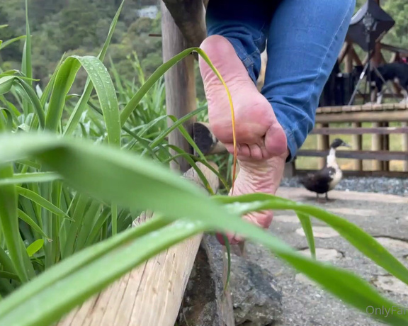 YelahiaG aka Yelahiag OnlyFans - Worshiping my feet outdoors for me is something that contains a lot of magic and excites me to the