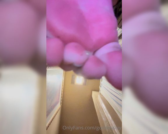 Ivy Morrigan aka goddessivy - 04-19-2023 OnlyFans Video - Quick foot worship POV