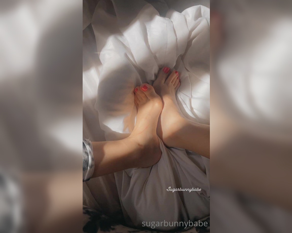 Miss Bunny aka sugarbunnybabe Foot Fetish - 03-14-2022 OnlyFans Video - Youre so damn lucky