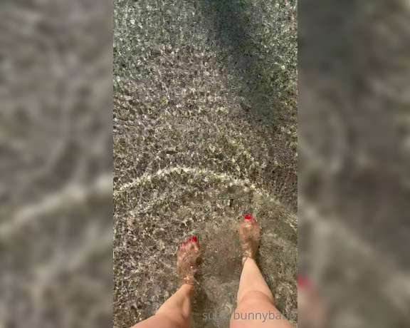 Miss Bunny aka sugarbunnybabe Foot Fetish - 07-09-2023 OnlyFans Video - Pretty, pedicured toes going for a dip