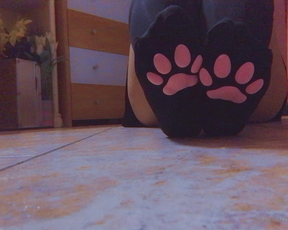 Nikykikka aka nikykikka Foot Fetish - 05-25-2023 OnlyFans Video - Kitty